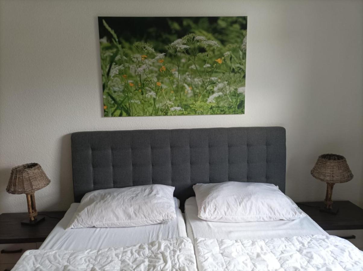 Apartament Ferienresidenz Wurmbergblick Braunlage Zewnętrze zdjęcie
